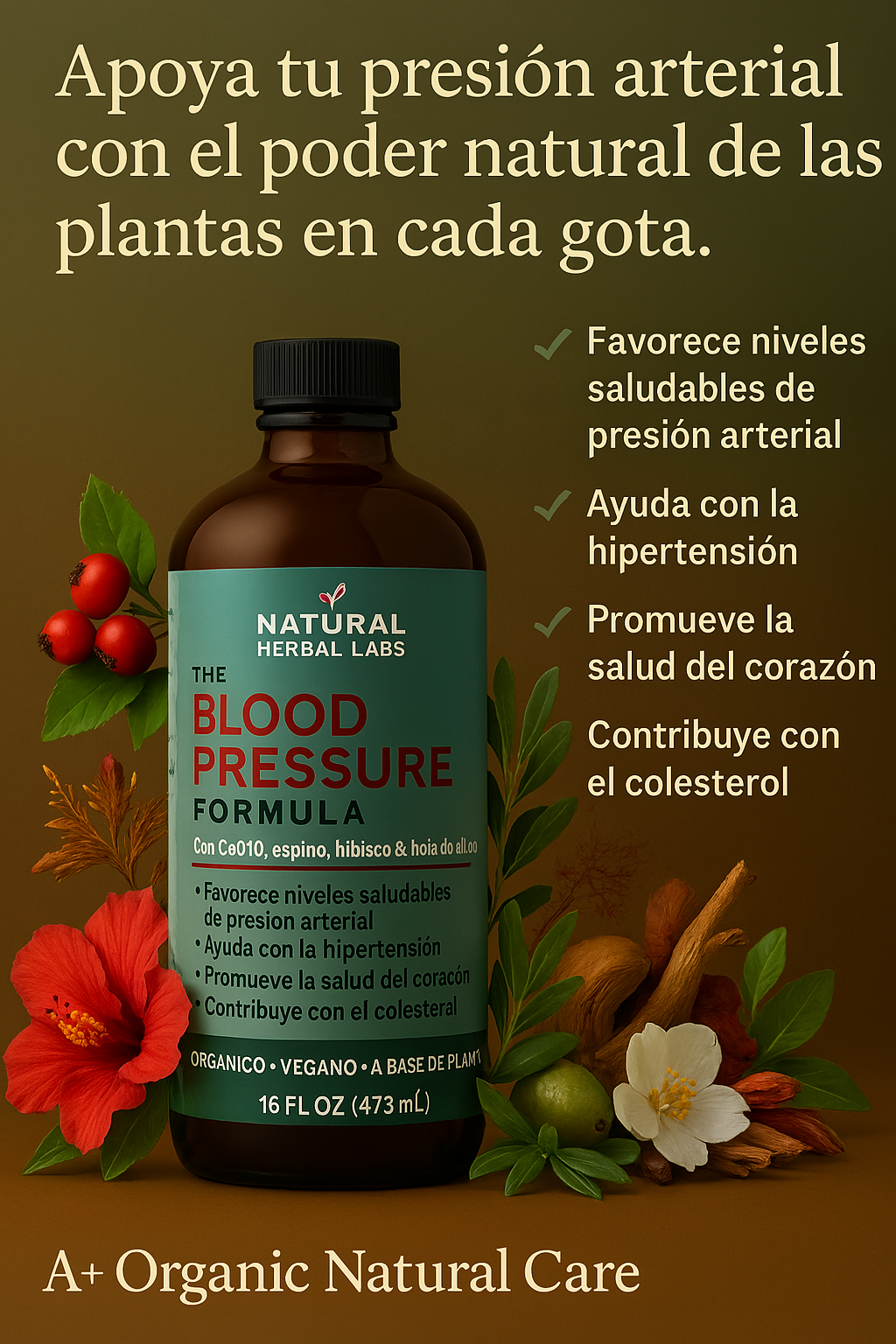 Blood Pressure Formula – Natural Herbal Support for Healthy Circulation
